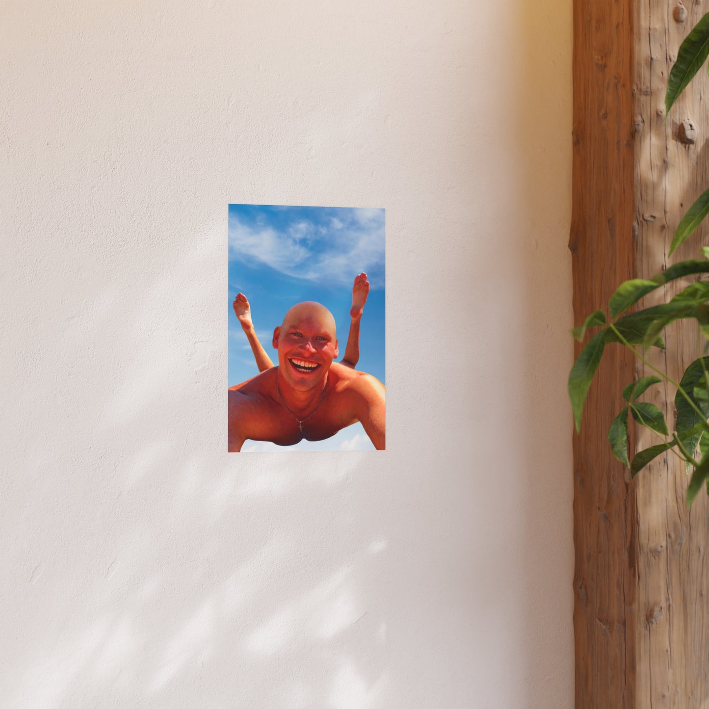 Flying Bro Poster